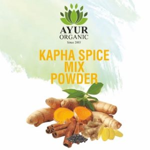 Kapha Spice Mix Organic