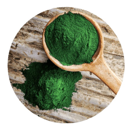 Spirulina Pulver Bio 100g