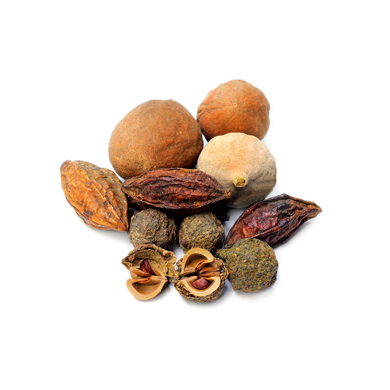 Triphala