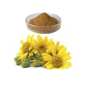 Arnica Powder Organic