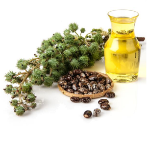 Castor Oil Organic | Cold Pressed