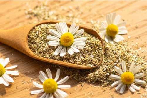 Chamomile Powder Organic