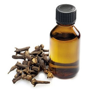 Clove Bud Oil Organic |15 ml