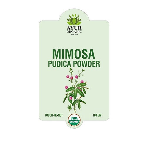 Mimosa pudica powder