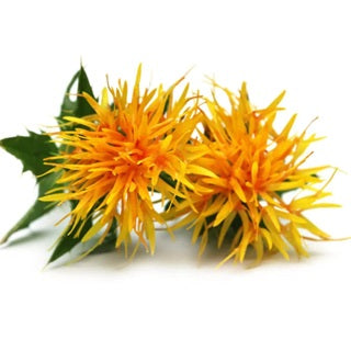 Organic Safflower Oil (100 mL)